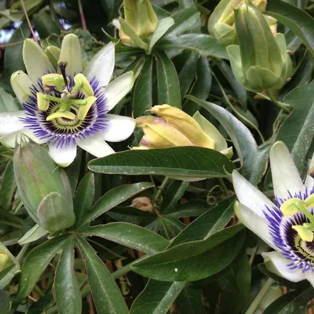 Bord De Avec 4 Couchages, Parking Et Tennis - Fr-1-251-263