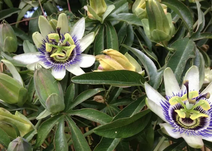 Bord De Avec 4 Couchages, Parking Et Tennis - Fr-1-251-263